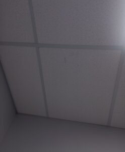 Picture 24